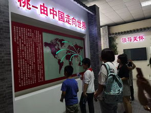 桃香引巧思，非遺潤童心——奉賢錢橋學校暑期親子體驗活動側記