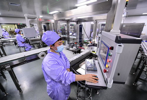 奮進新征程 建功新時代 偉大變革丨遼沈“智”變 軟件服務的創(chuàng)新引擎驅動區(qū)域經濟新跨越